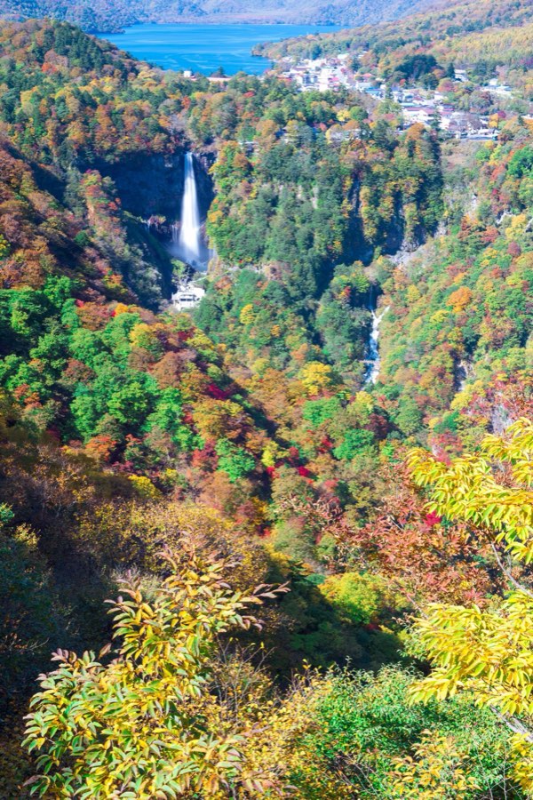 栃木県、2012年秋、日本。撮影：Jordy Meow（8/22）