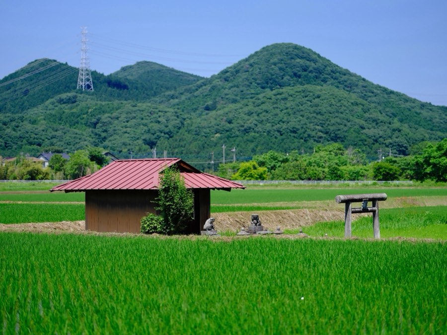 栃木県、2021年夏、日本。撮影：Jordy Meow（57/229）