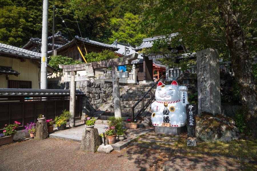 徳島県、2019年春、日本。撮影：Jordy Meow（210/289）