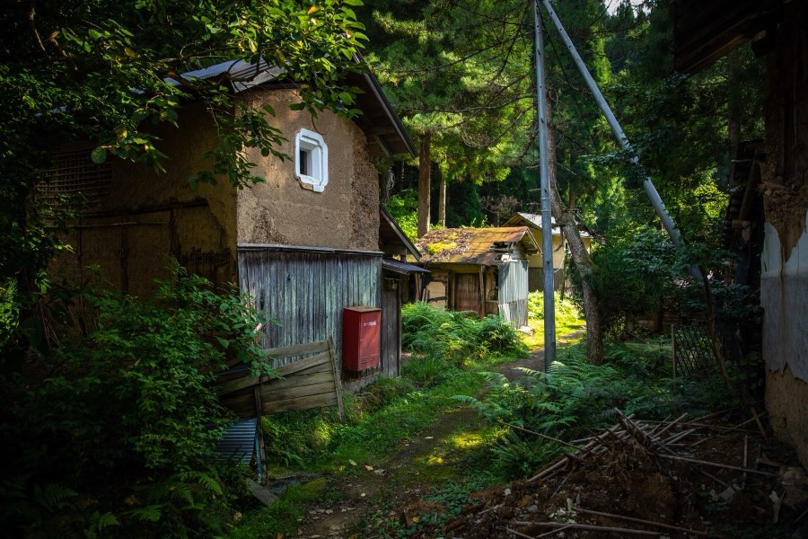 鳥取県、2019年秋、日本。撮影：Jordy Meow（1/5）