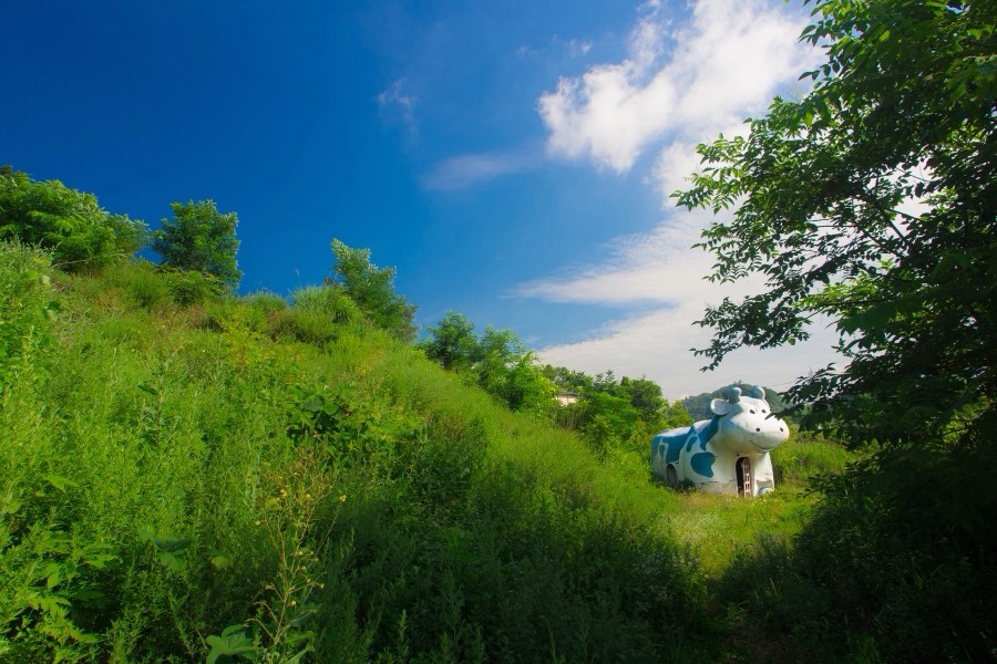 山梨県、2013年夏、日本。撮影：Jordy Meow（95/229）